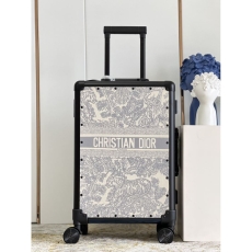 Christian Dior Suitcase